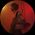Marco Varalda's profile picture