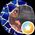 Cristina Petrucci's profile picture