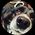 Alberto Cerutti's profile picture